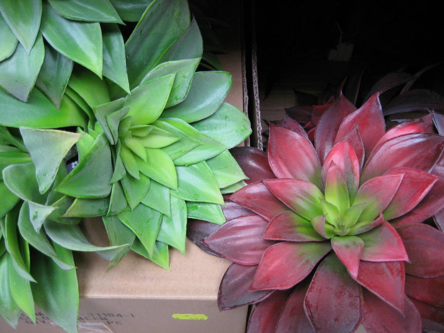 Entry 22 Image 3