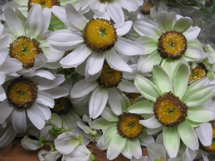 Entry 22 Image 6