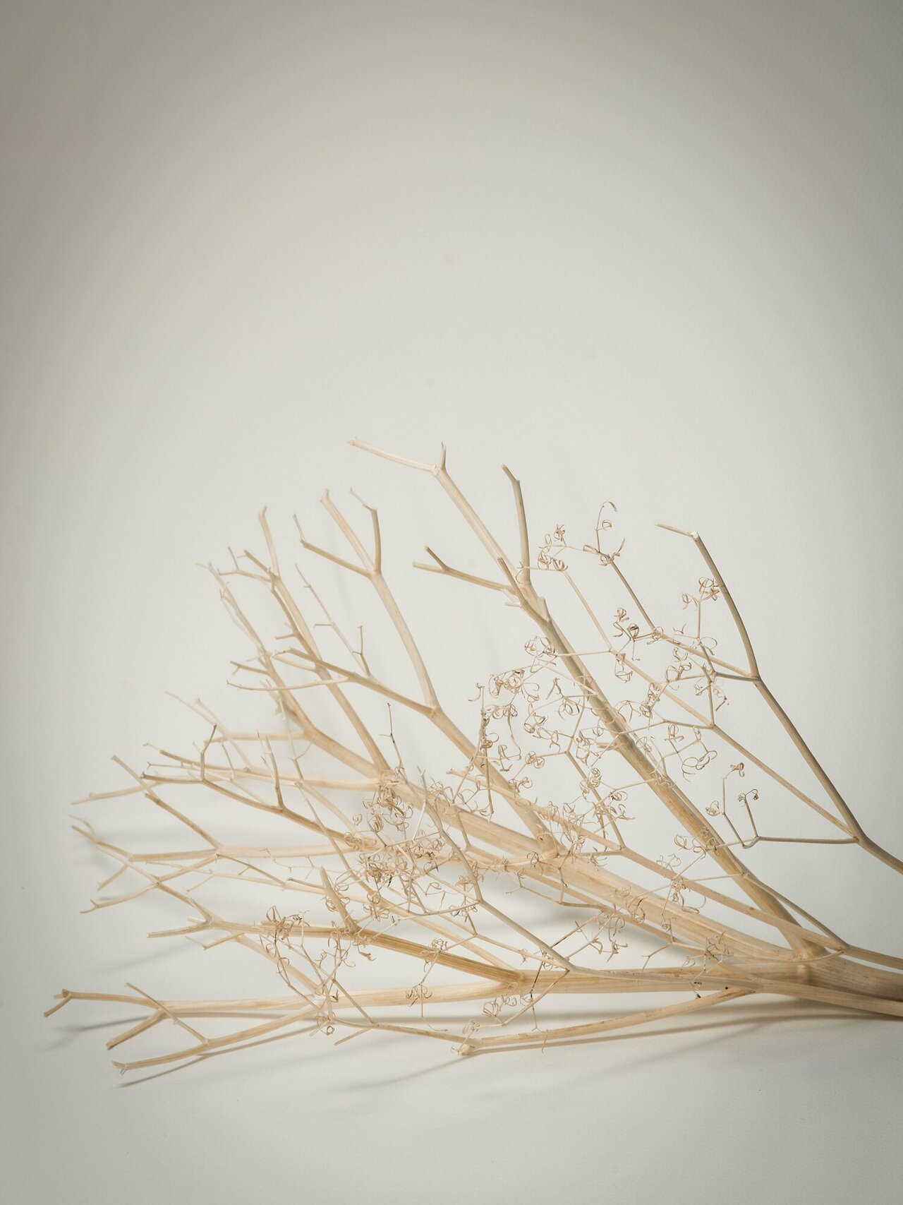 Entry 29 Image 2