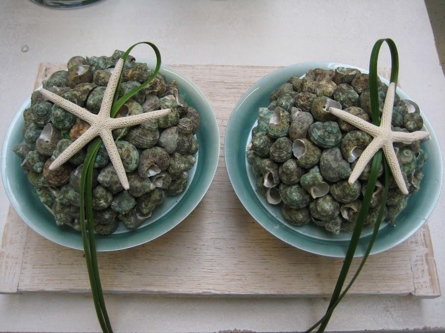 Entry 40 Image 4