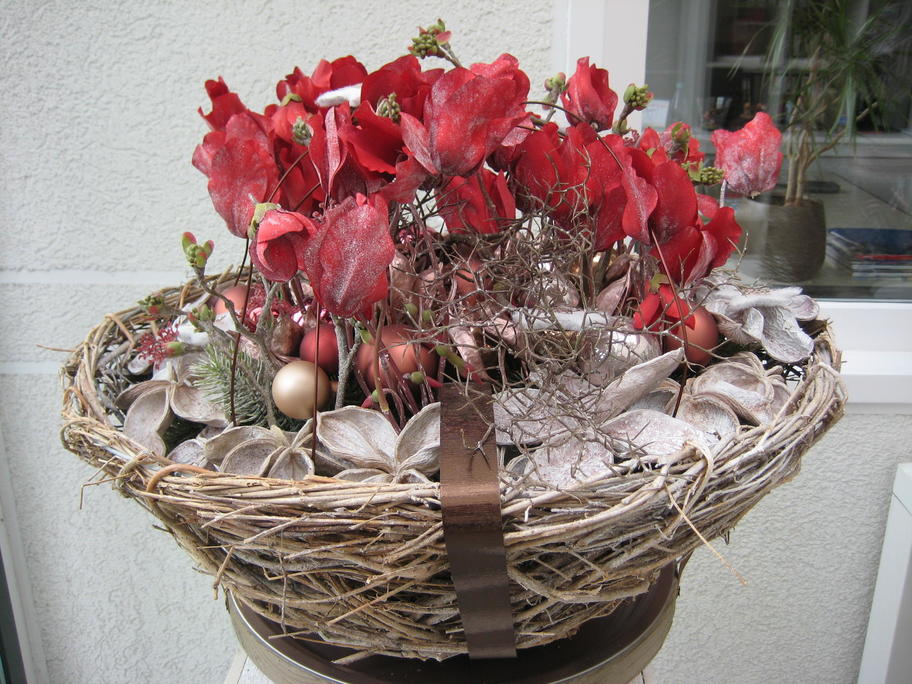 Entry 41 Image 22
