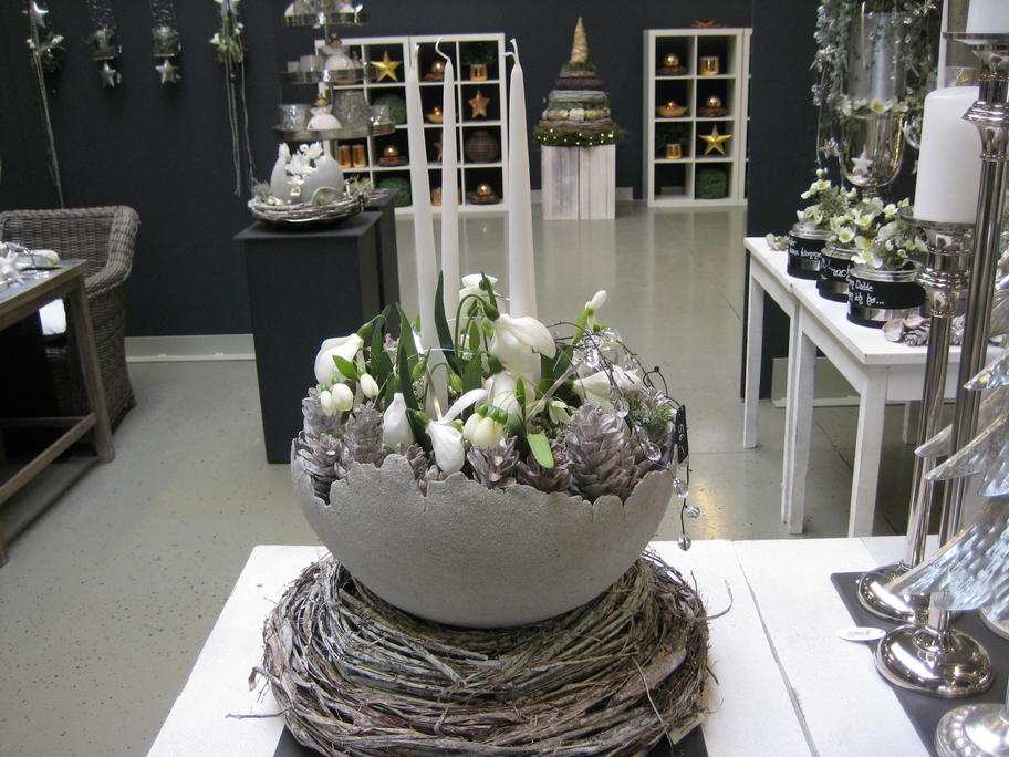 Entry 41 Image 25