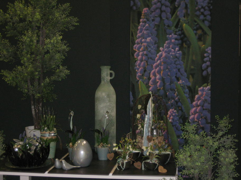 Entry 42 Image 10