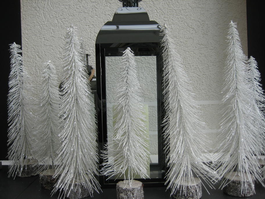 Entry 45 Image 8