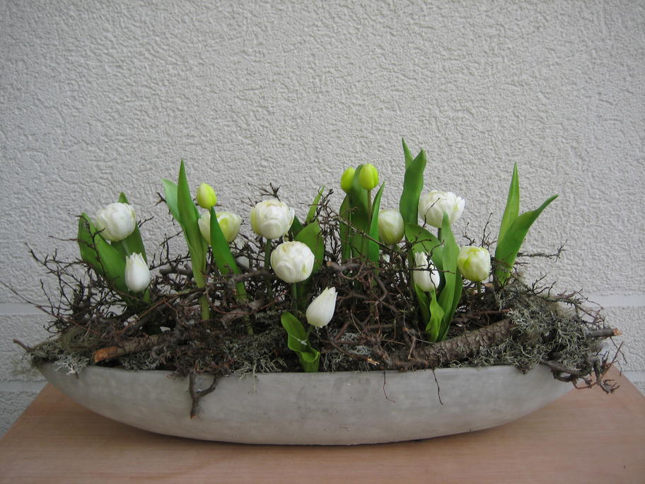 Entry 46 Image 5