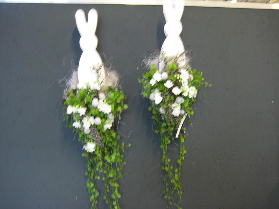 Entry 46 Image 10
