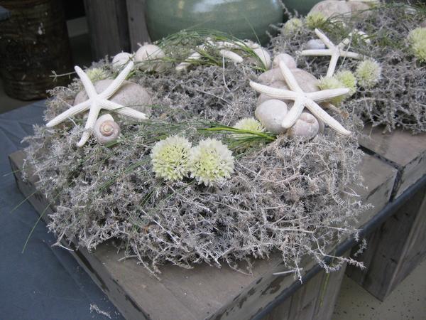 Entry 47 Image 14