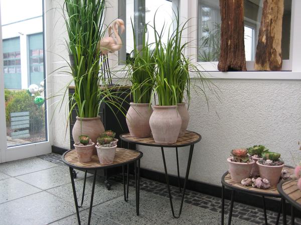 Entry 47 Image 27