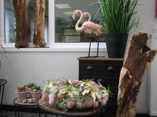 Entry 47 Image 28