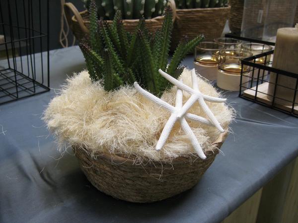 Entry 47 Image 41