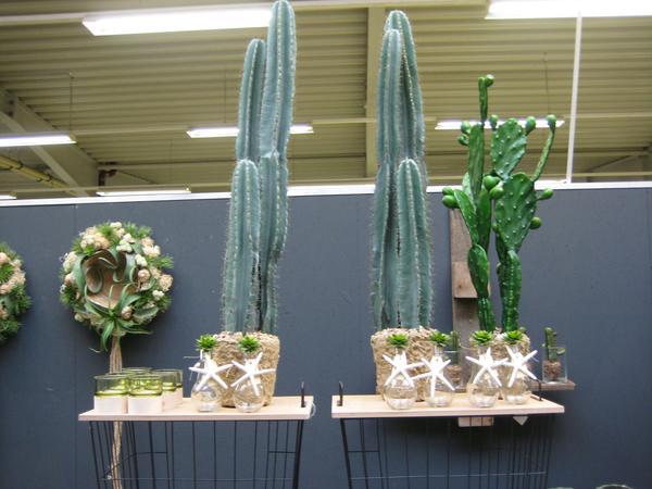 Entry 47 Image 44