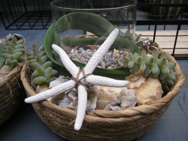 Entry 47 Image 46