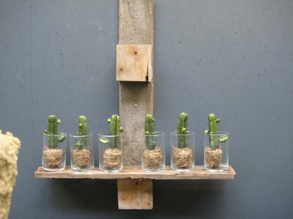 Entry 47 Image 47