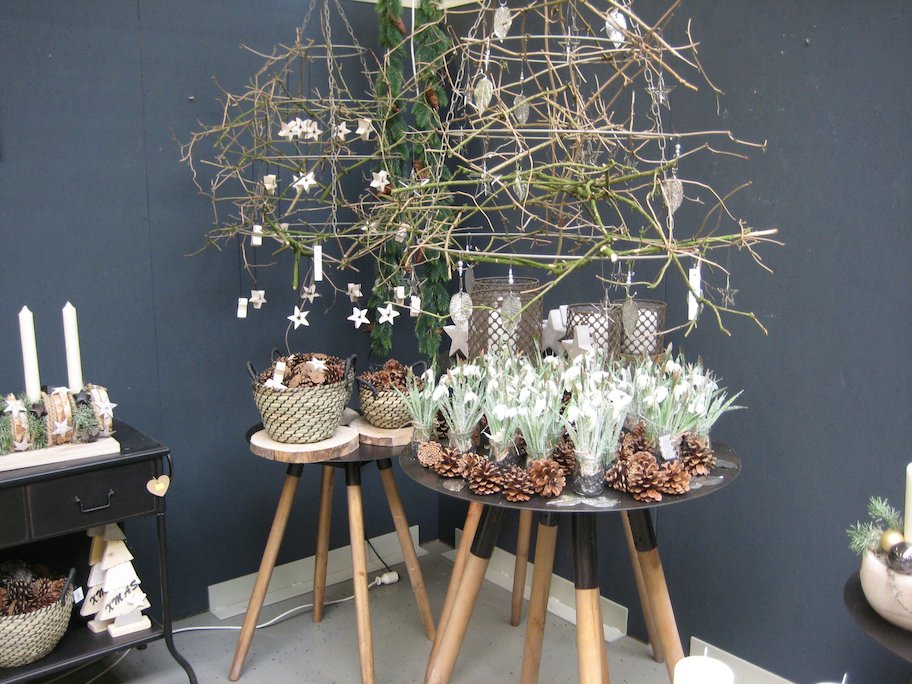 Entry 48 Image 8