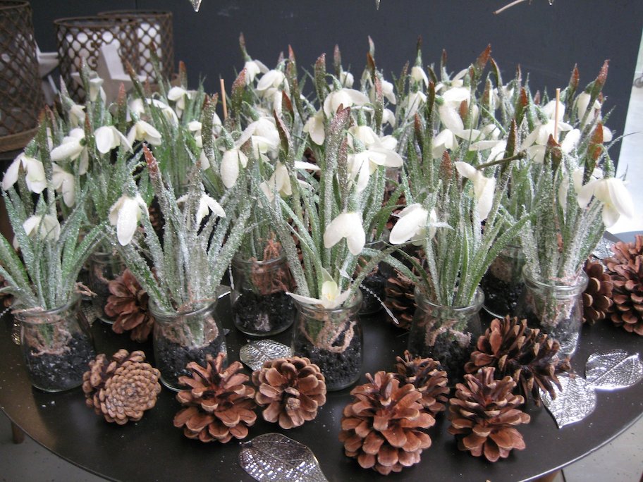 Entry 48 Image 10