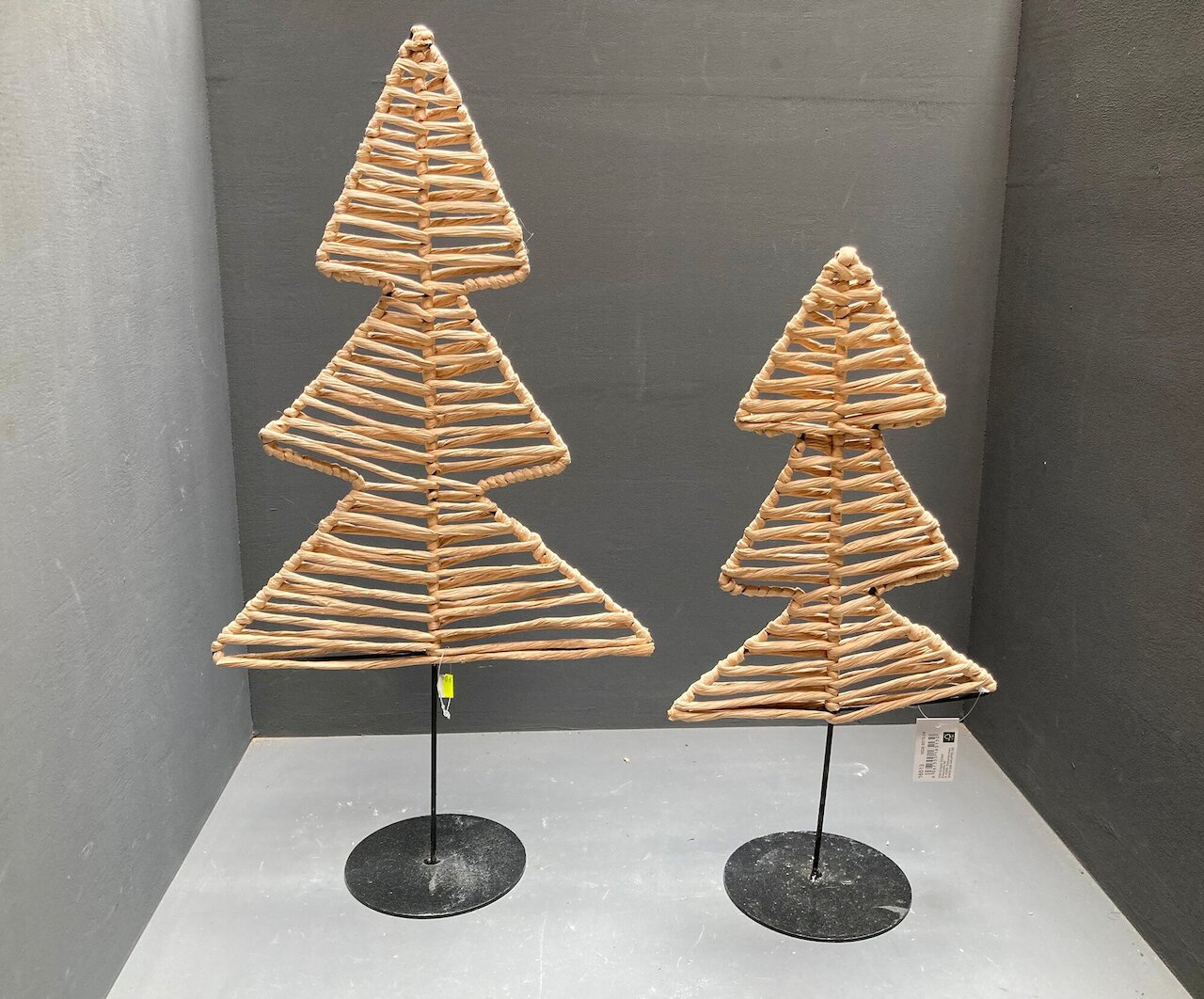 Entry 49 Image 11