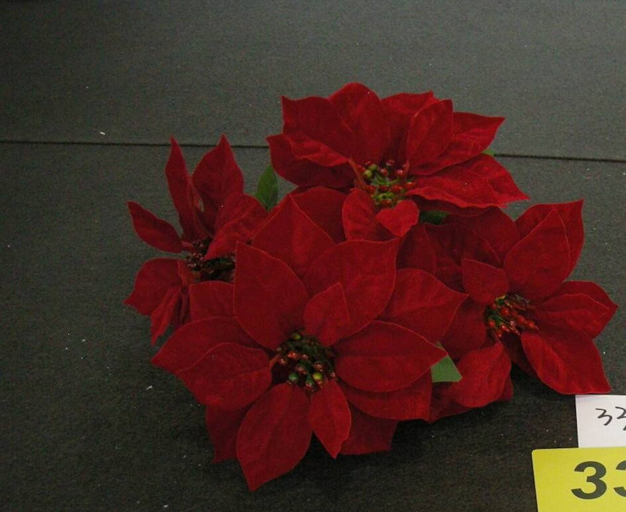 Entry 49 Image 26