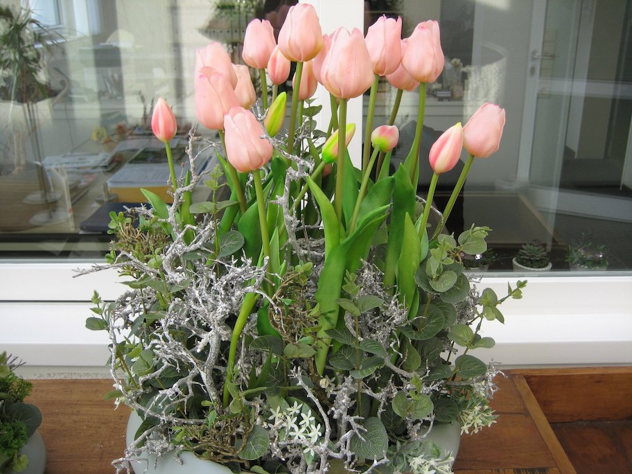 Entry 53 Image 3