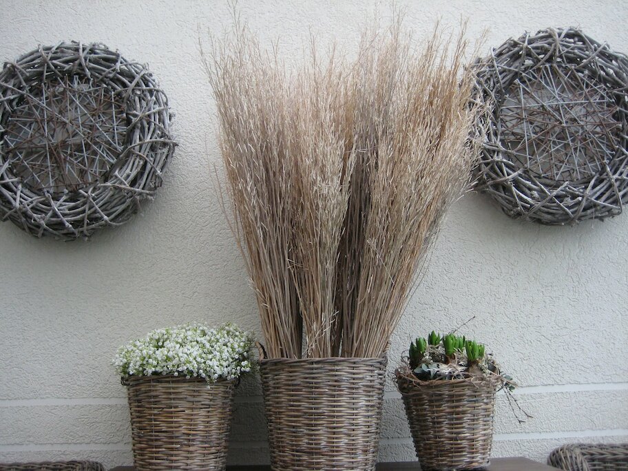 Entry 55 Image 4
