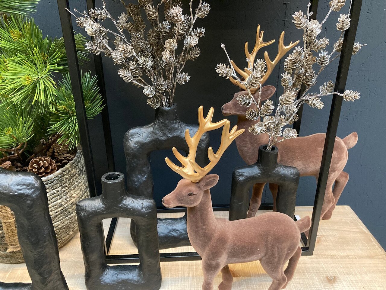 Entry 62 Image 10